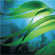 Seaweed.